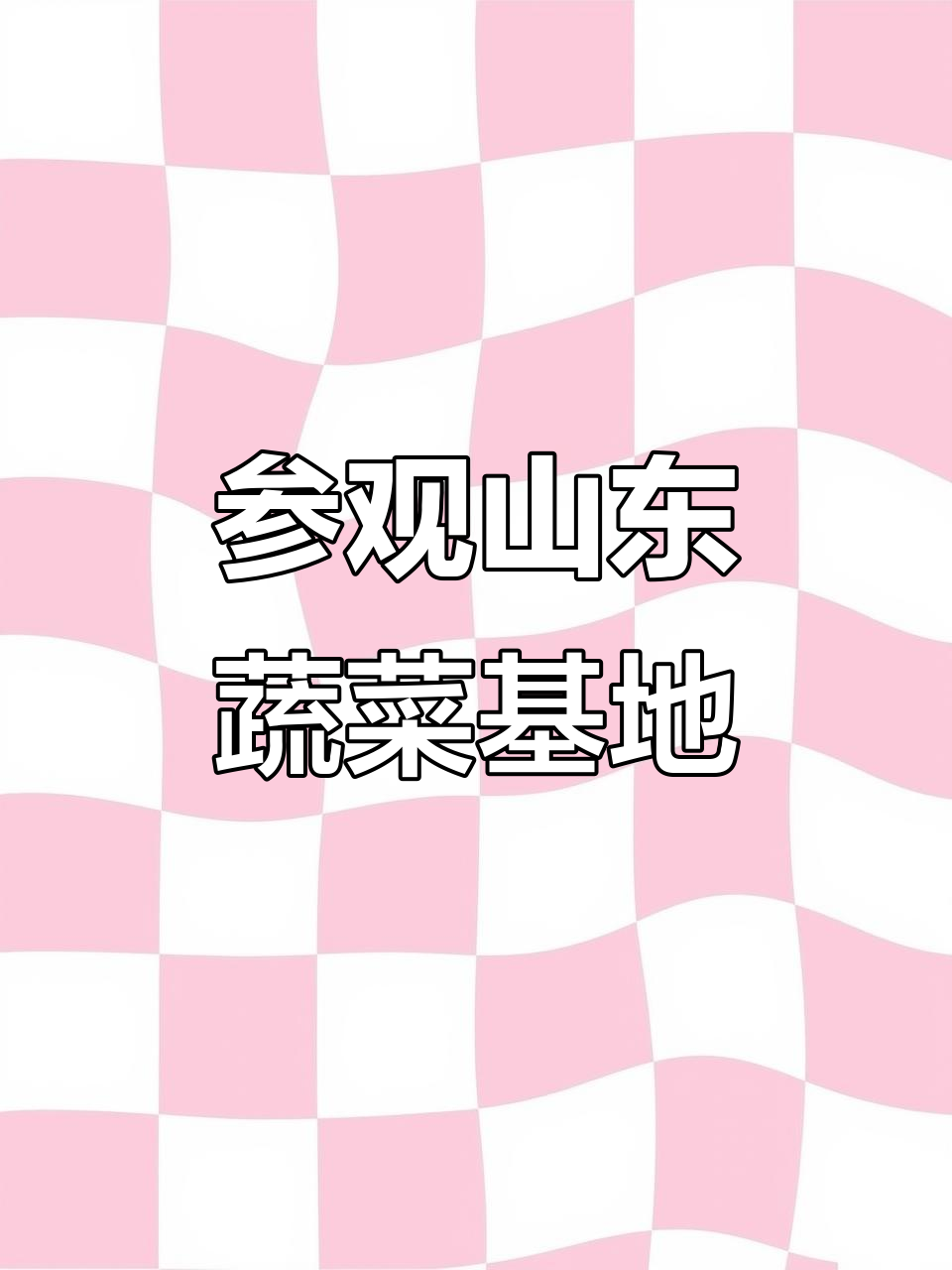 探访山东寿光蔬菜大棚,5000亩无土栽培技术大揭秘