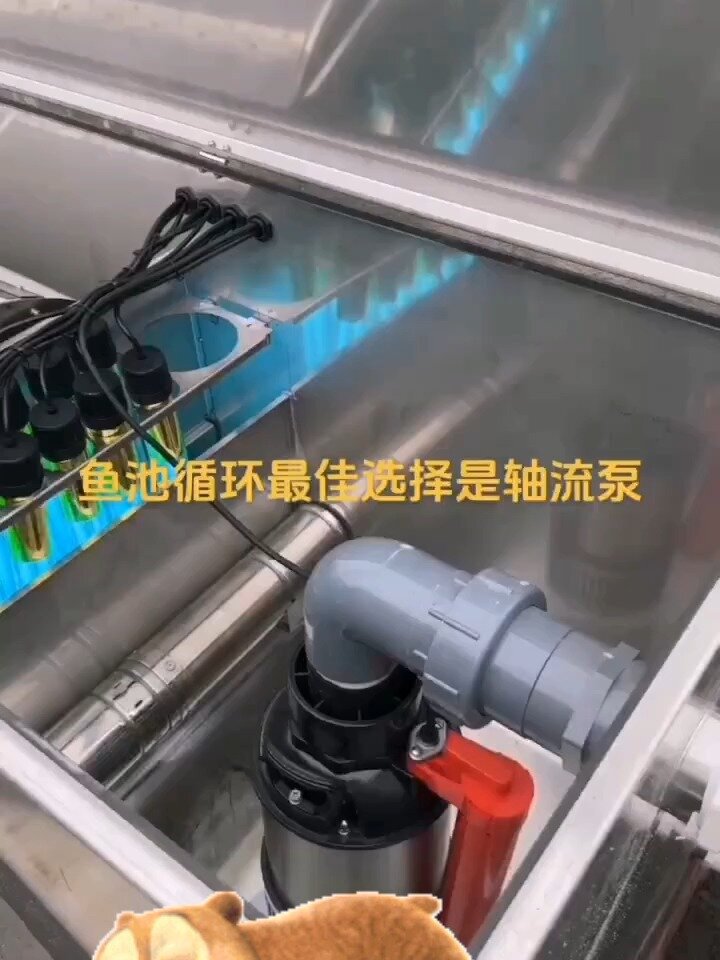 鱼池循环水泵选择