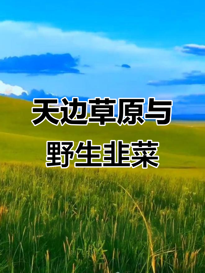 探秘天边草原乌拉盖,野韭菜花酱制作大揭秘