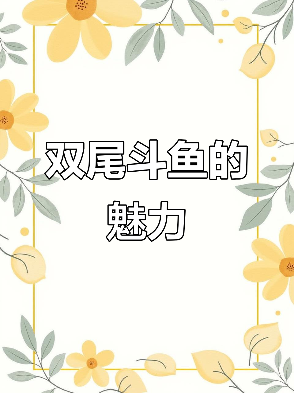 双尾斗鱼,独特造型与脆弱体质的完美结合