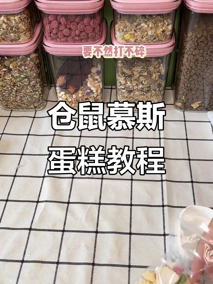 小仓鼠慕斯蛋糕制作大揭秘,简单材料做出美味甜品