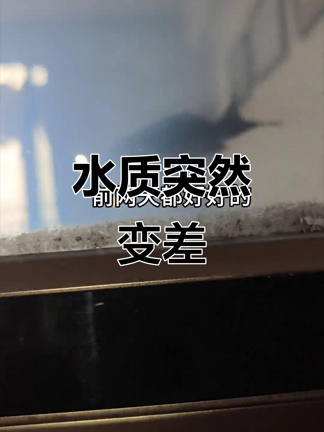 鱼缸水变白,过滤棉或水泵出问题了?已换三次水仍不见好