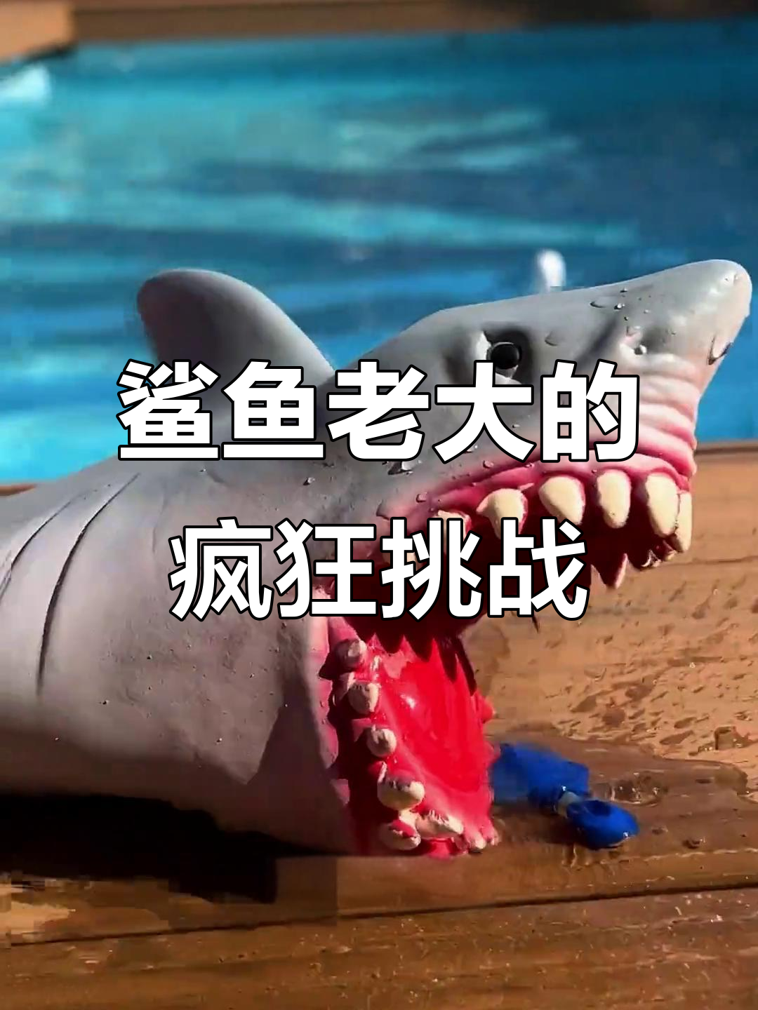 鲨鱼老大挑战人类美食,牙齿锋利到能咬碎橡皮泥!