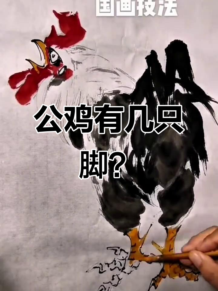 公鸡脚趾数量揭秘,乌鸡竟有五根!