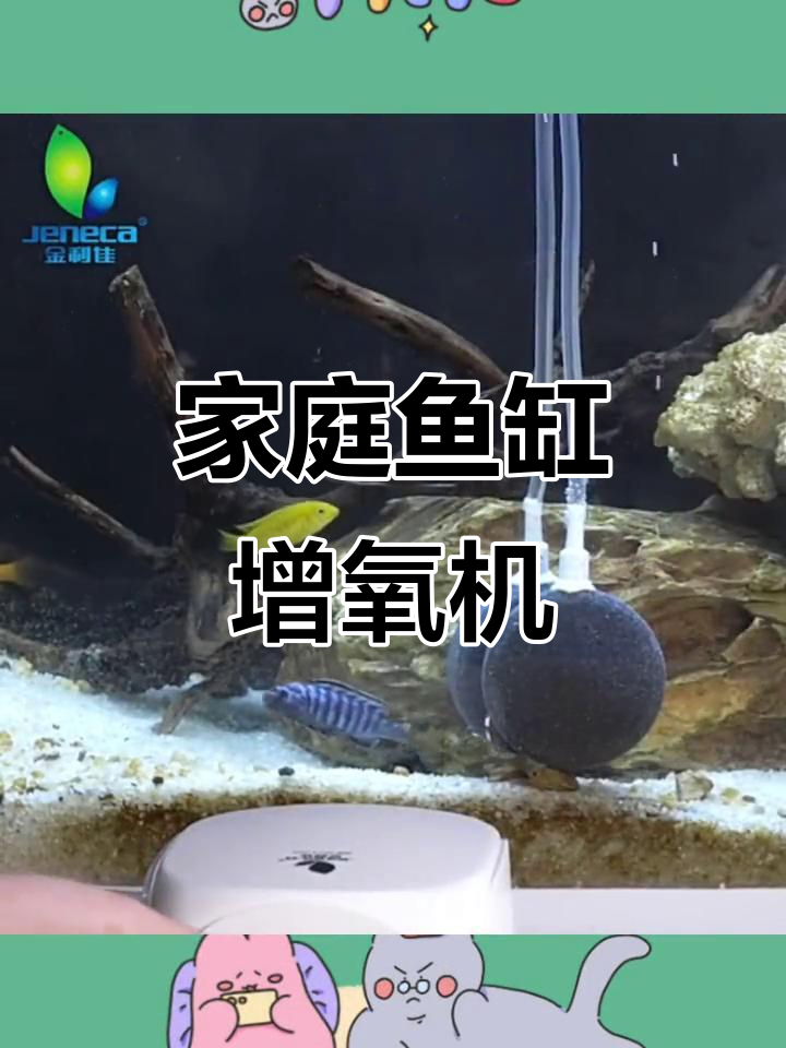 小型家用氧气泵,鱼缸增氧必备神器