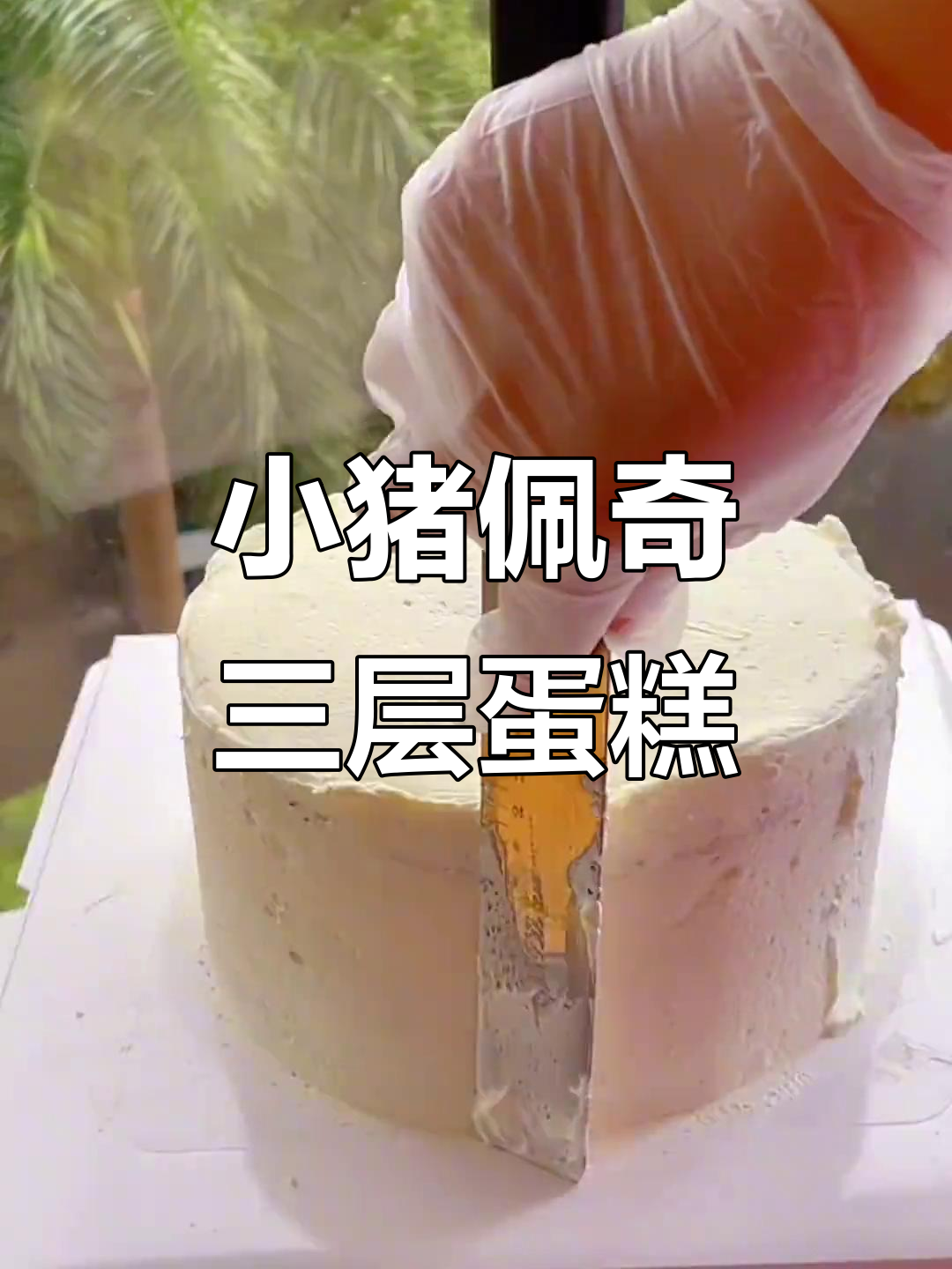 手工翻糖蛋糕,三磅两层小猪佩奇生日惊喜