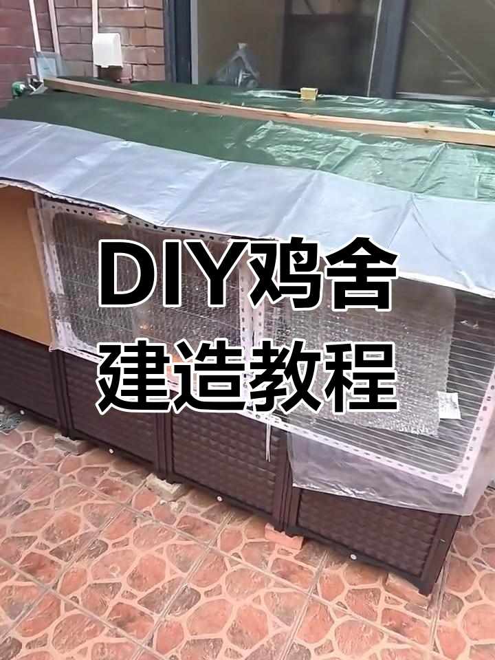 自制鸡舍搭建全攻略:双排花箱、三角铁与防雨布巧妙组合
