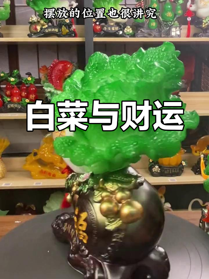 白菜象征财富，家中公司必备，寓意生意兴隆！