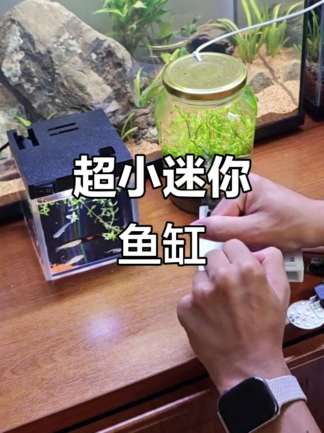 迷你鱼缸，超强过滤，适合办公桌或床头柜的小夜灯