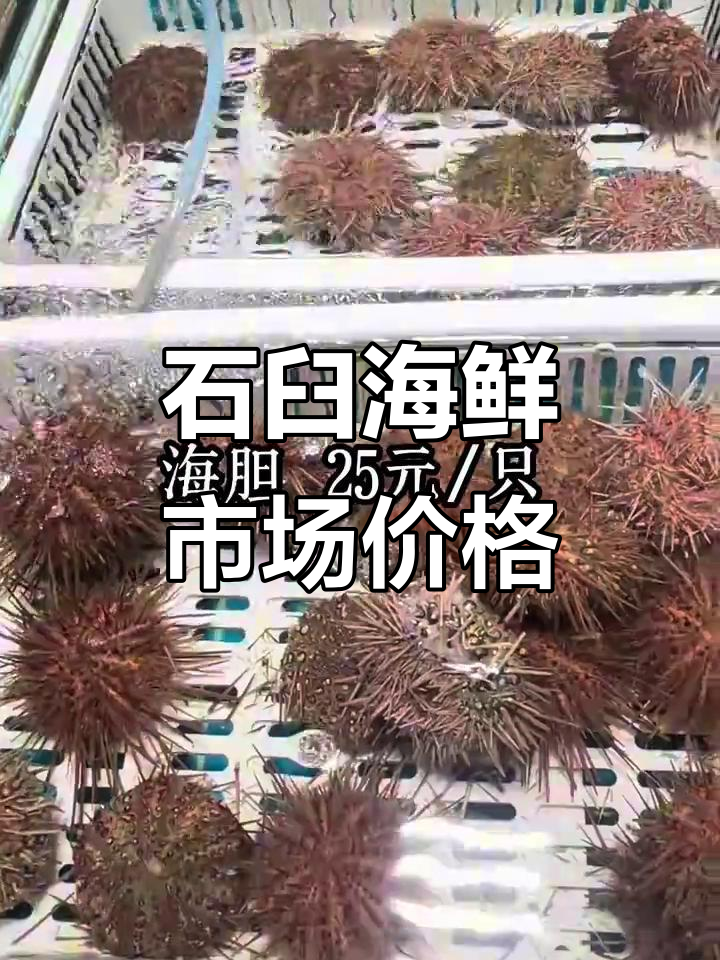 12月19日日照石臼海鲜市场价格大揭秘,鱼蟹俱全
