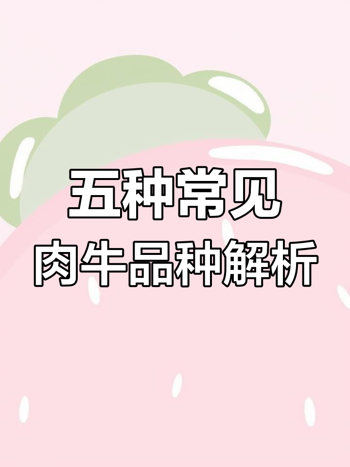 了解五大肉牛品种,选对适合你的养殖类型