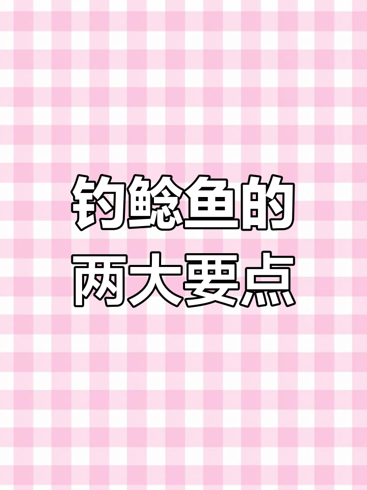 钓鲶鱼必知技巧:夜晚和浑浊水域最有效