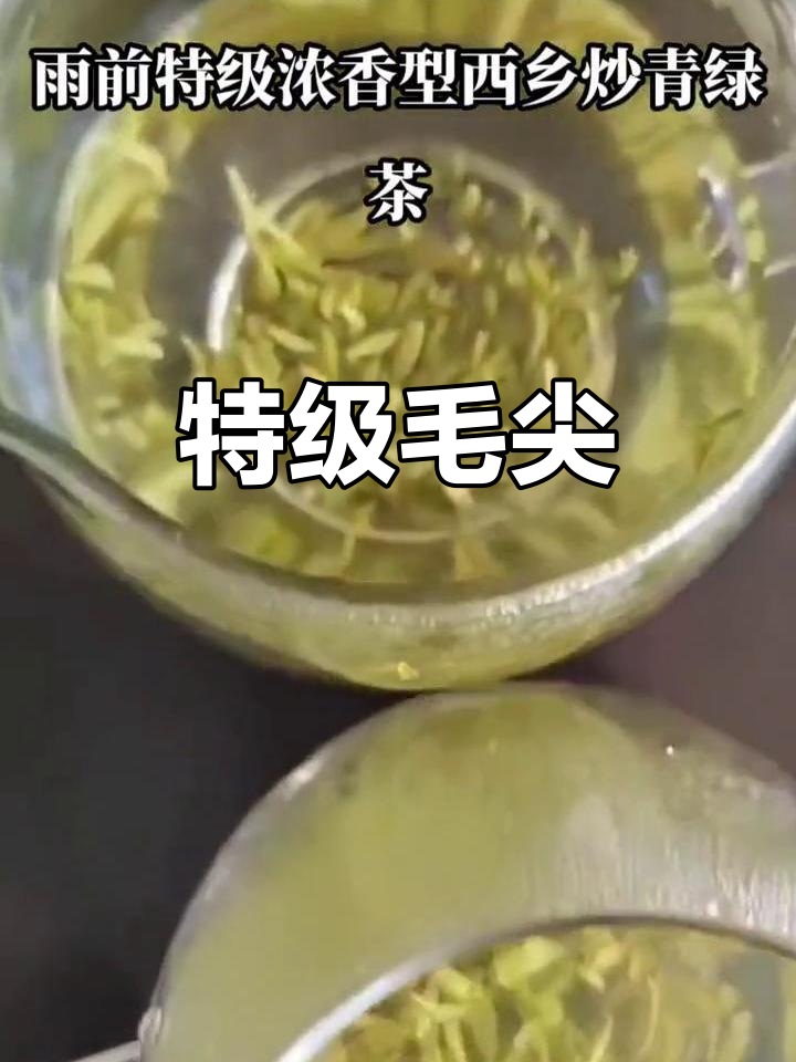 2023年陕西汉中特级毛尖,雨前浓香绿茶