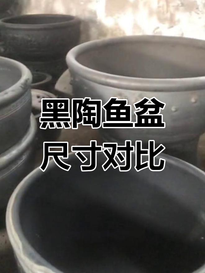 老北京黑陶鱼缸:从一米到八十,尺寸差异大揭秘