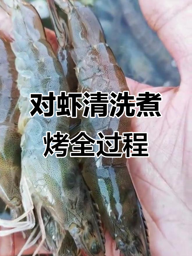 南美白对虾养殖现场:清洗、煮熟、烤制,美味来袭!