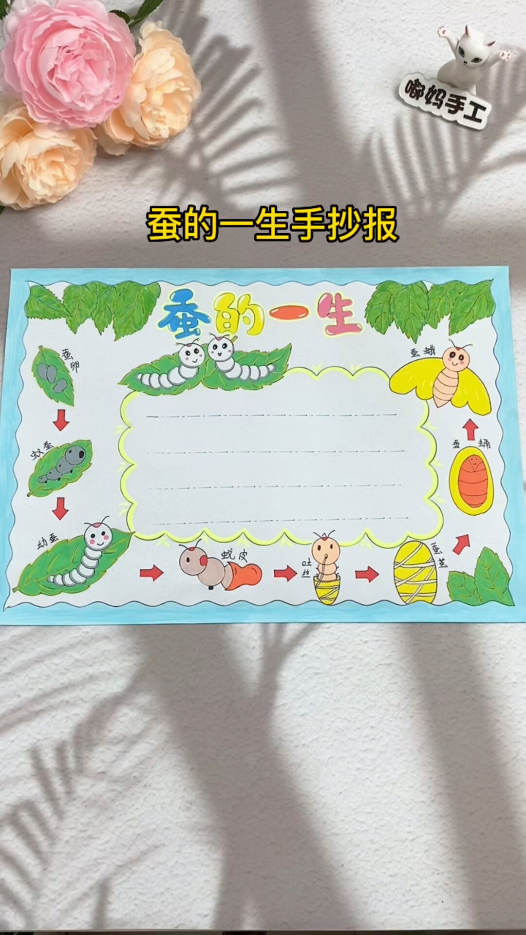 蚕的一生手抄报