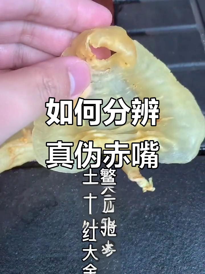 赤嘴鱼胶分类与真假辨别,教你如何挑选