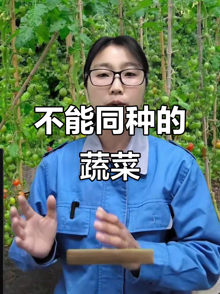 这些蔬菜种在一起,效果堪忧!生菜、番茄等不宜共生的冤家组合