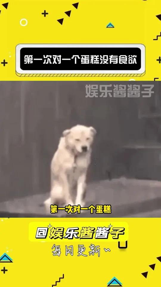 这蛋糕怎么这样