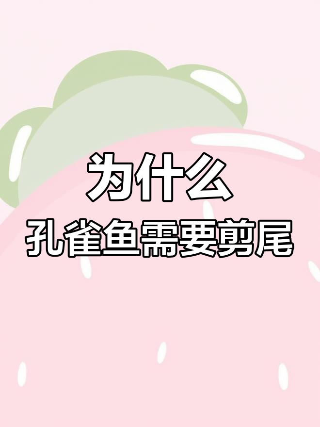 孔雀鱼尾巴过大为何要剪?了解原因和注意事项