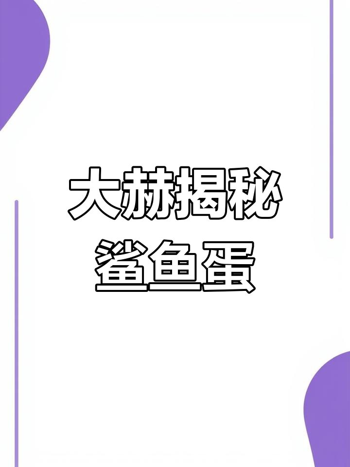 鲨鱼蛋孵化失败?大赫首次揭开谜底,小鲨鱼到底有没有