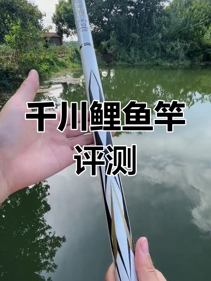 千川鲤鱼竿:轻巧高腰力,钓鱼更轻松