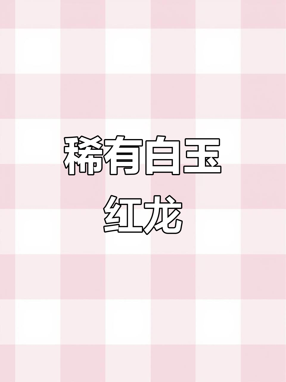 白玉红龙:百里挑一,白里透红的美丽奇迹