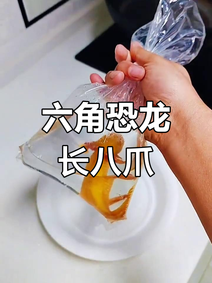 这条六角恐龙鱼竟然长了8个爪子,真是惊呆了!