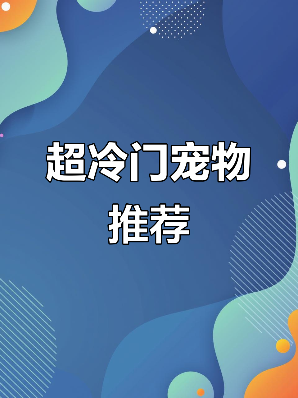 5种超冷门宠物,养鳄鱼、鼠妇也能轻松上手