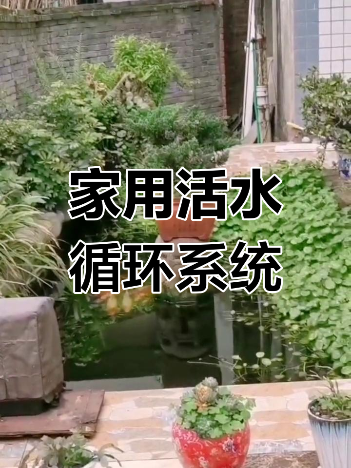 家庭循环水系统,让庭院池塘永不换水