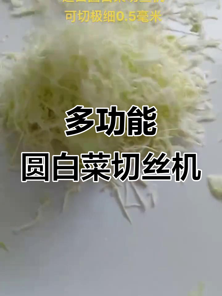 进口圆白菜切丝机,轻松搞定蔬菜切割