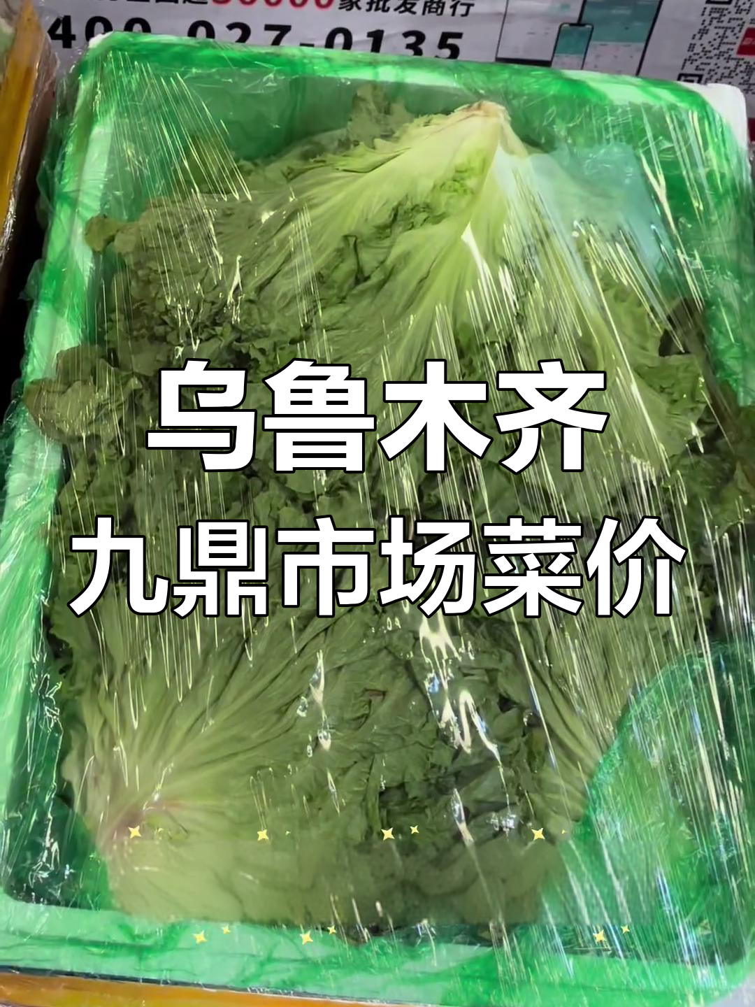 新疆九鼎市场蔬菜价格大揭秘,4月15日最新行情一览