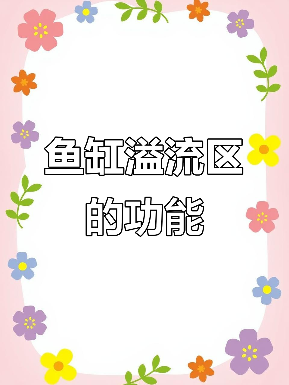 鱼缸溢流区原理解析:如何高效工作,防止水漫出来