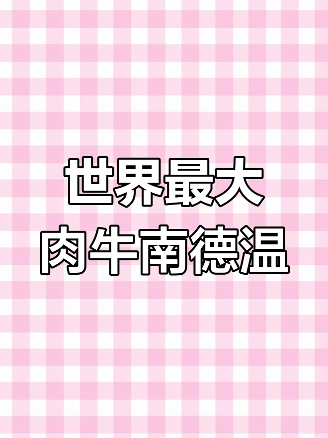 南德温牛:从英国到澳大利亚的肉乳兼备品种