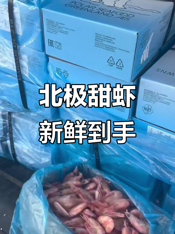 北极熊冰虾到货,手工漂洗无黑头