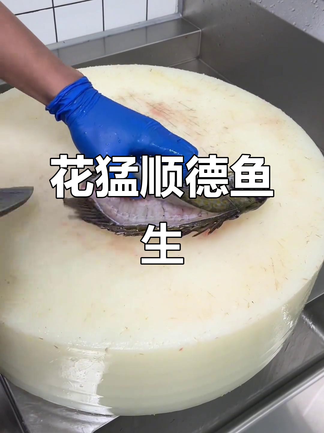 顺德花猛鱼生,口感鲜美,吃过一次上瘾