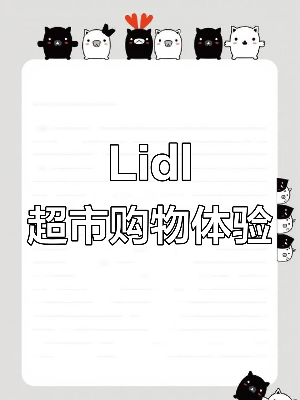 英国平价超市Lidl探秘：面包便宜又好吃，特价肉类超值