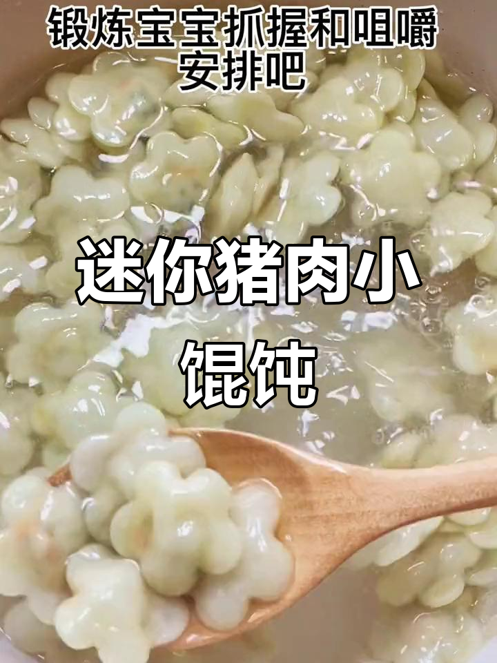 宝宝版猪肉小馄饨,一口一个超可爱