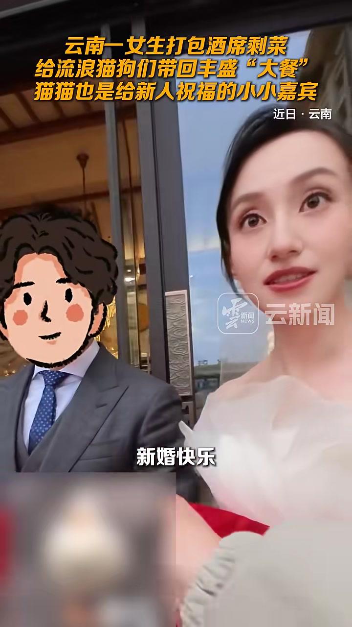 云南一女生打包酒席剩菜给流浪猫狗们带回丰盛“大餐”