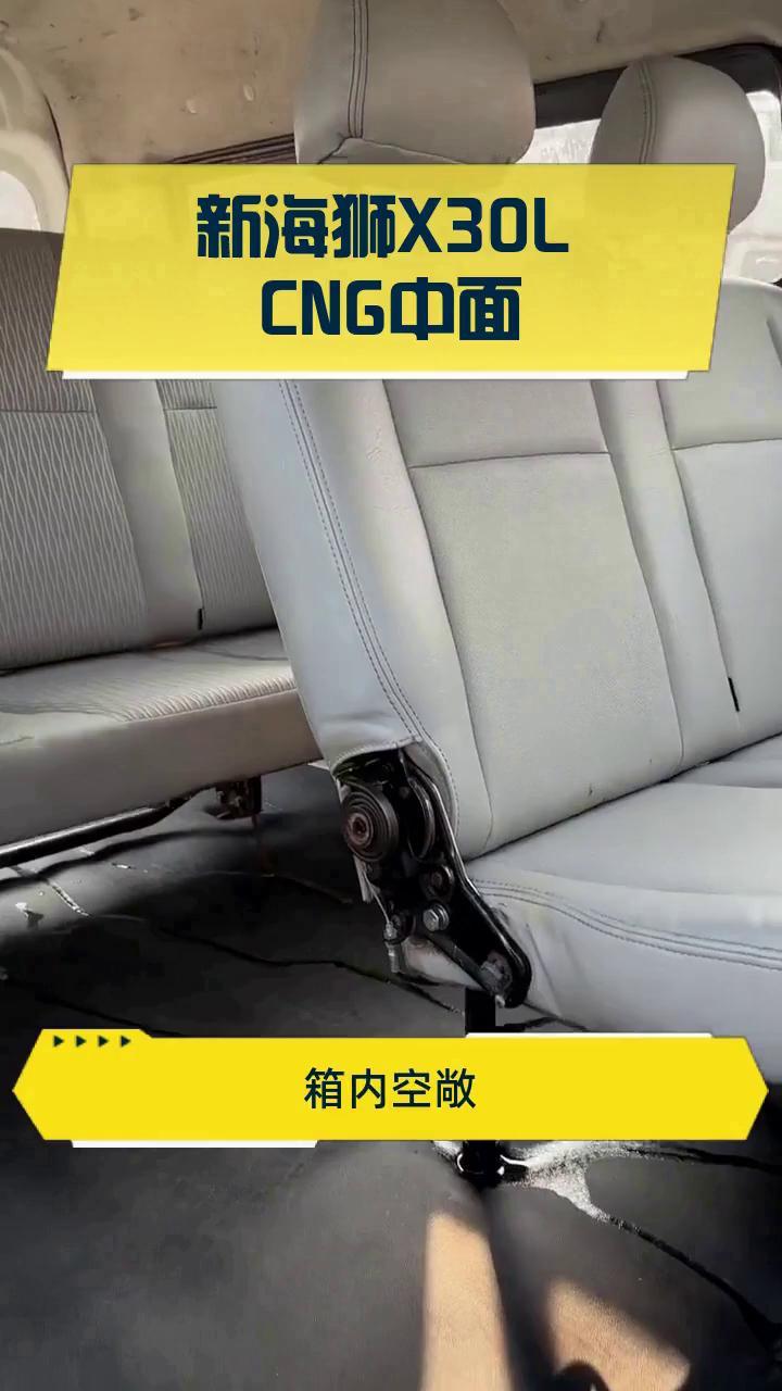 新海狮X30L CNG中面
