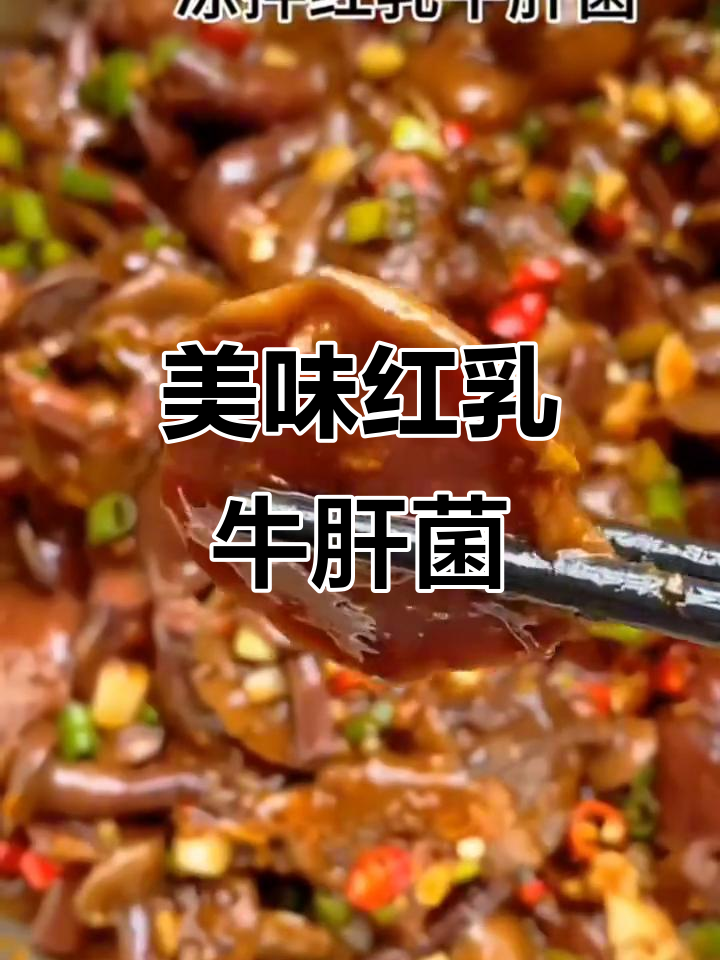 红乳牛肝菌,脆嫩鲜美,炒肉凉拌火锅皆宜