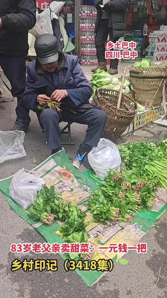83岁老父亲卖甜菜:一元钱一把