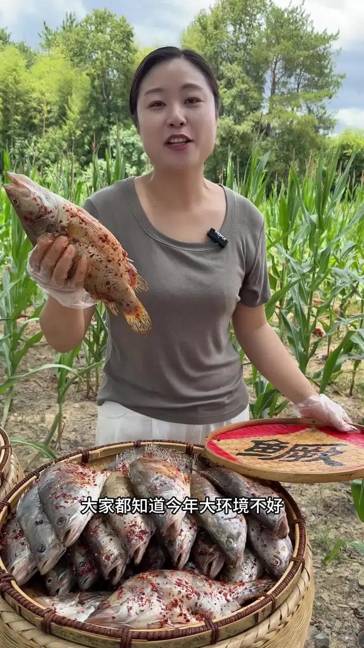 来徽州大山里的正宗黄山臭鳜鱼,不加科技的放心鱼