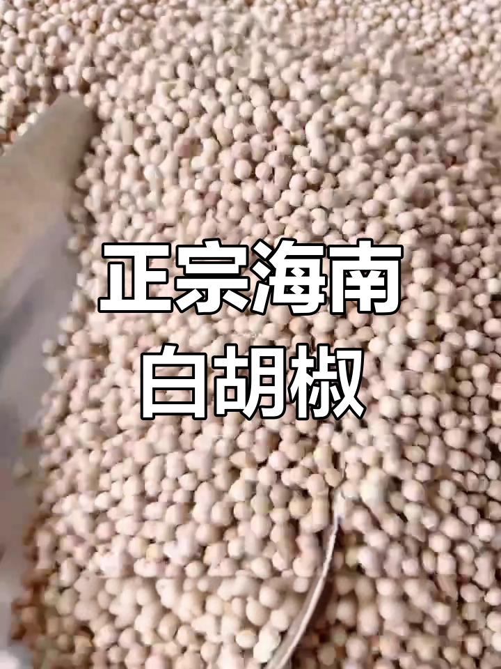 海南白胡椒:香浓辛辣,海鲜肉类必备调味料