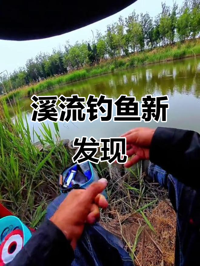 小河沟钓小梭鱼,轻松告别空军!