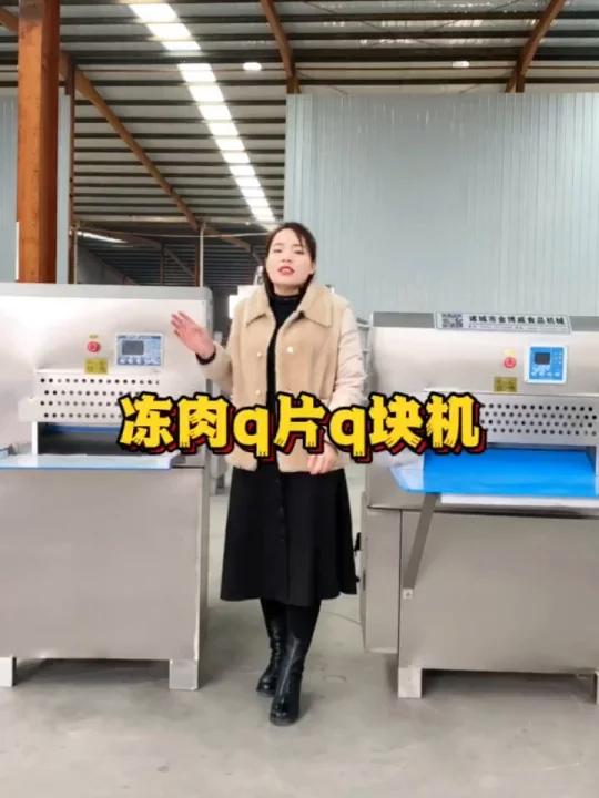 冻肉切片切块机
