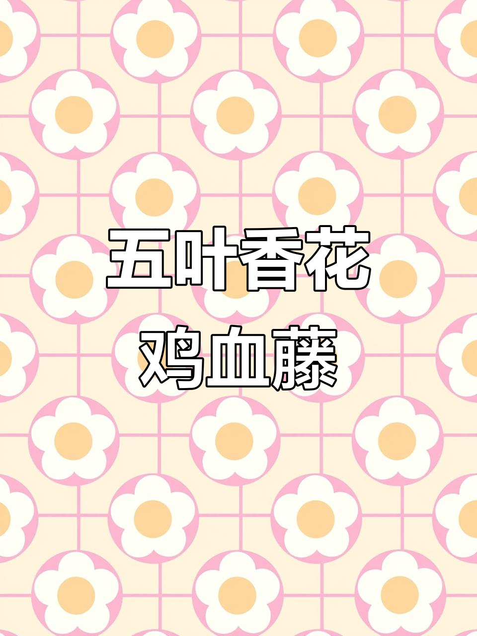 五叶香花鸡血藤:一种神奇的药用植物
