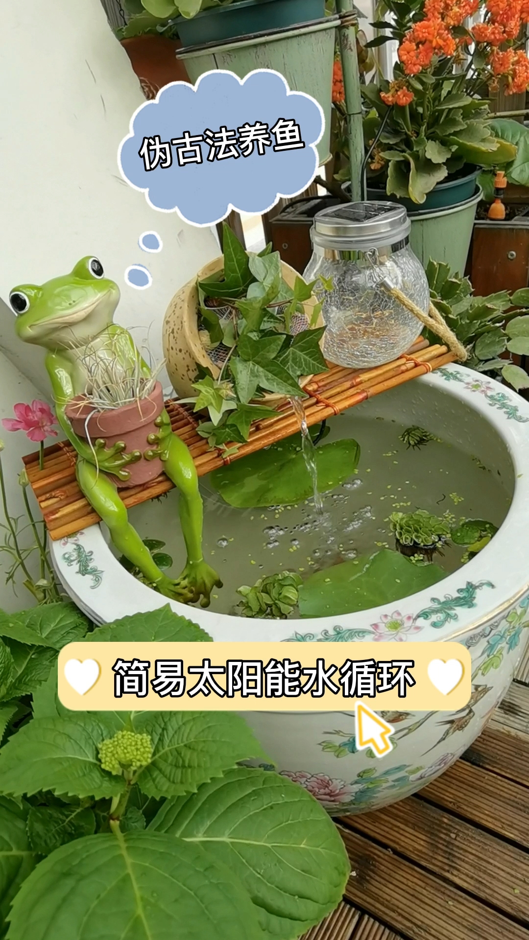 开缸养鱼|太阳能水循环过滤鱼缸简易教程