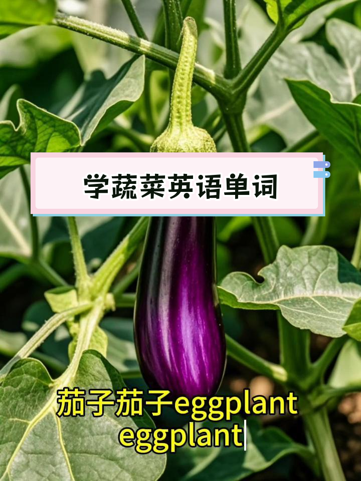蔬菜英语词汇大全