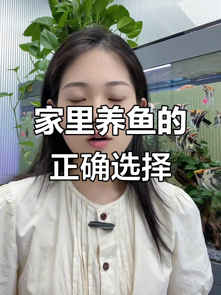 养鱼有讲究,选对品种和颜色财运来!